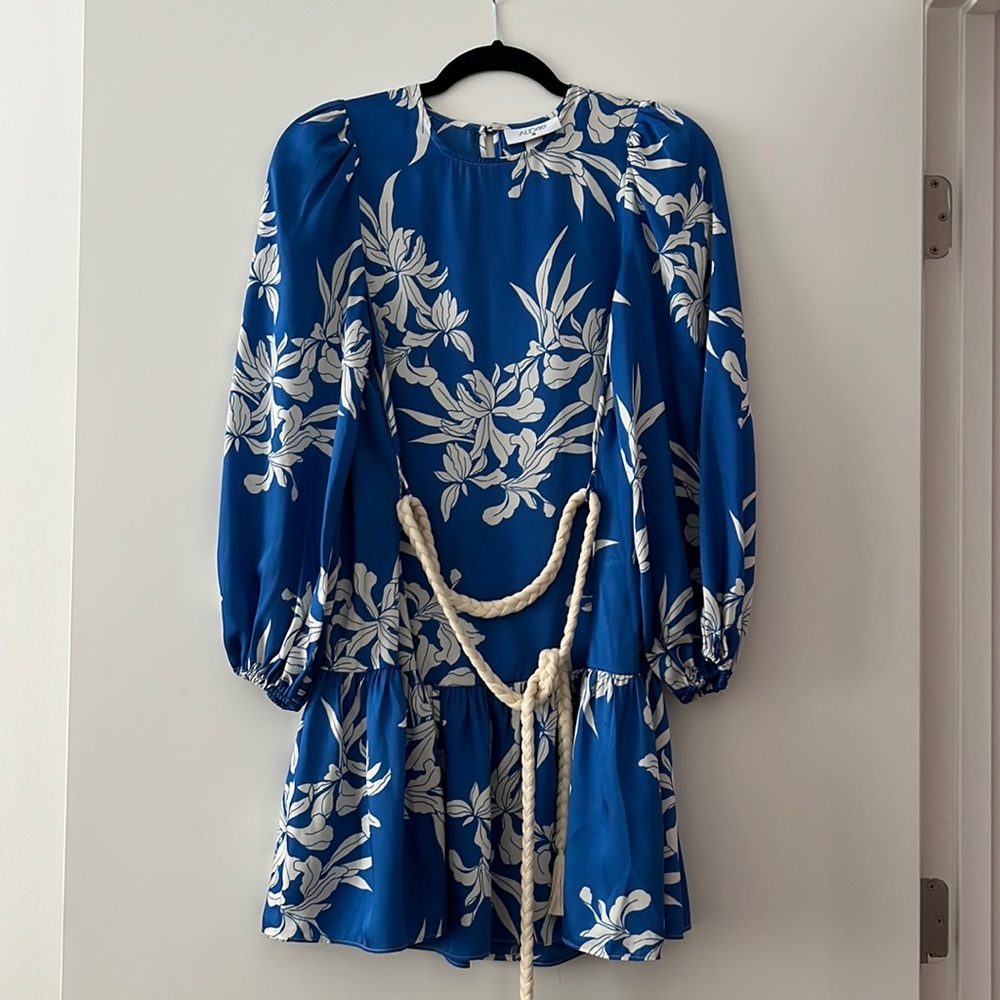 Alexis for target silky dress with rope tie